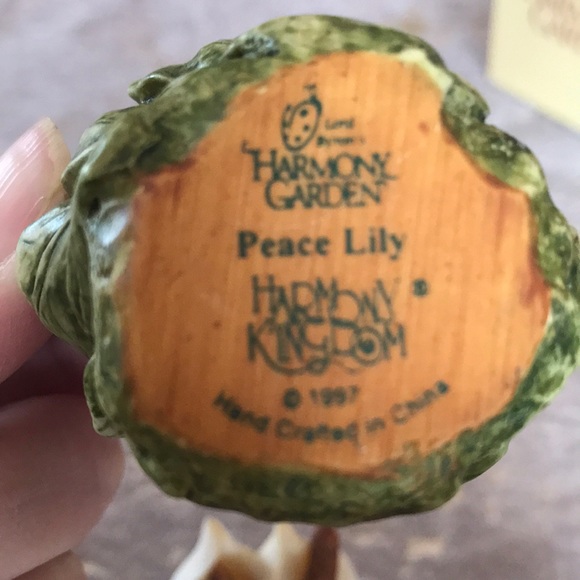 🎀 Lord Byron’s Peace Lily - Picture 5 of 6